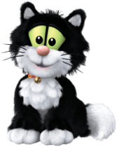 KEDİ