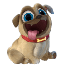 KÖPEK