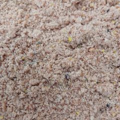 Champıona racer nemli kurtlu böcekli doğa kuşları maması 5 kg