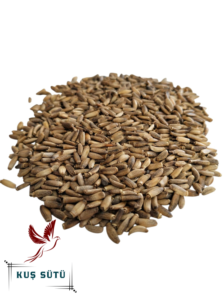 Kuş Sütü Deve Dikeni Tohumu 20 Kg
