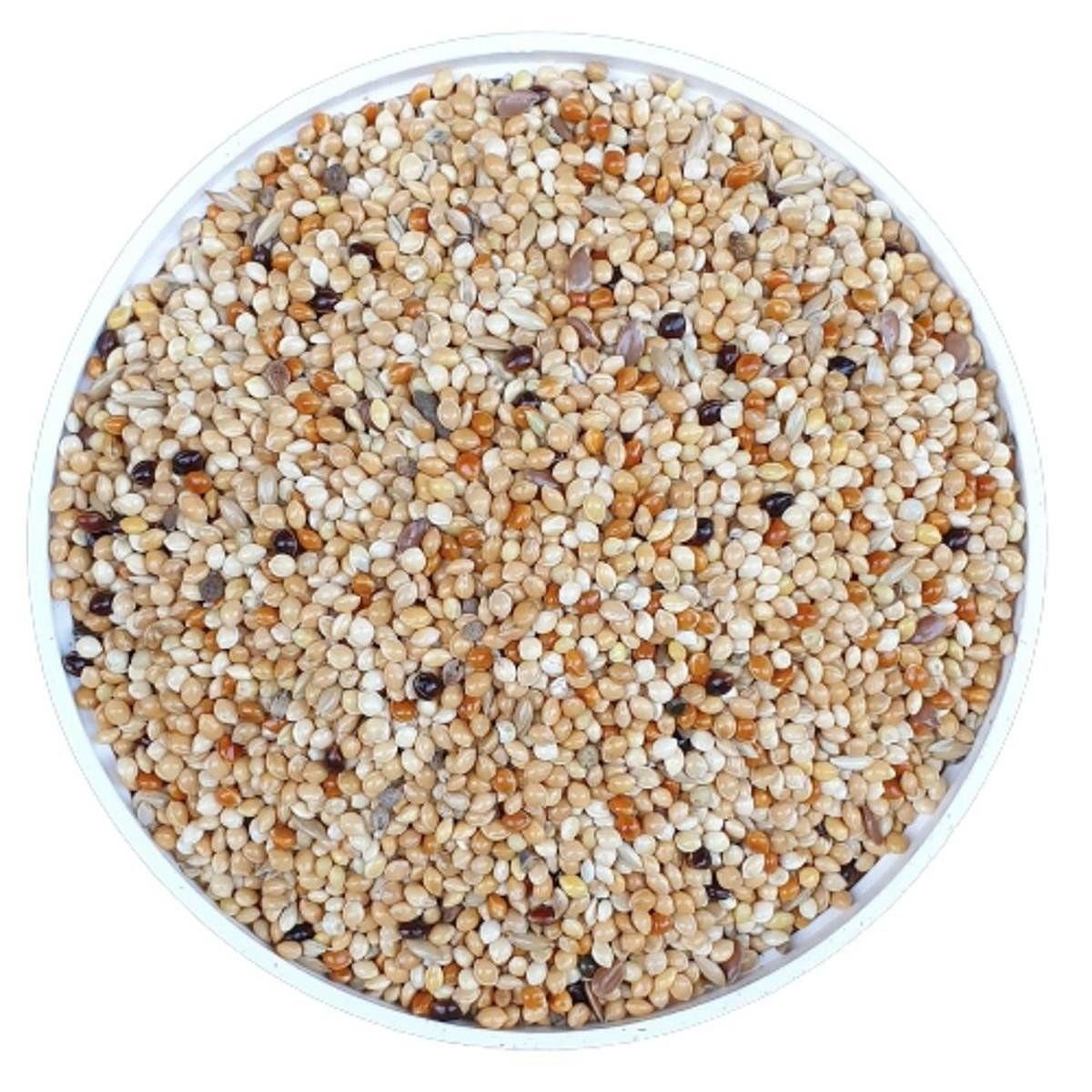 Vivid Muhabbet Yemi 1 Kg
