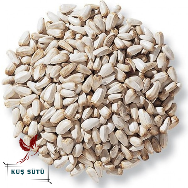 Kuş Sütü Aspir Çekirdeği 25 Kg