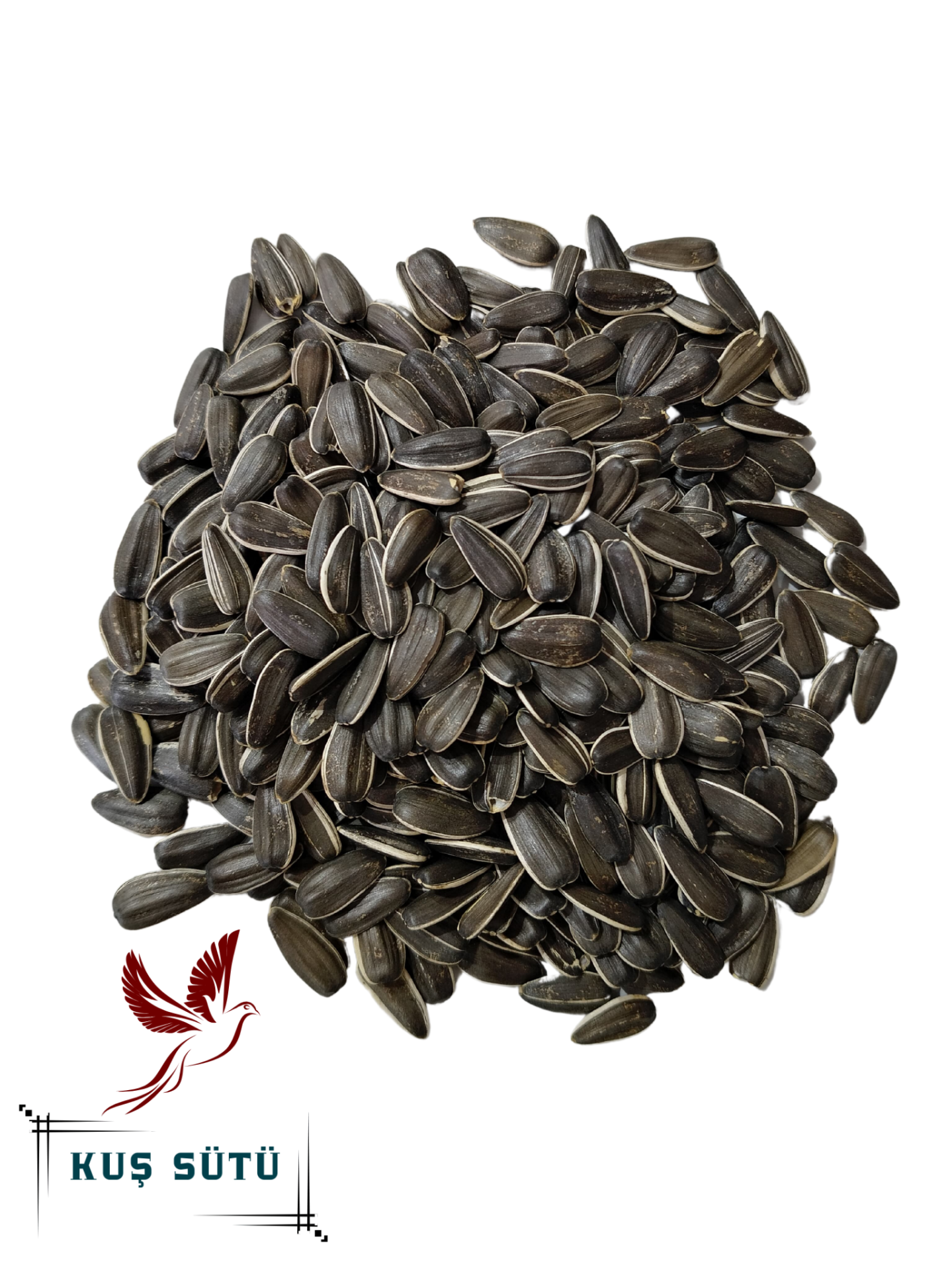 Kuş Sütü Dakota Çekirdeği (1.Kalite) 15 Kg