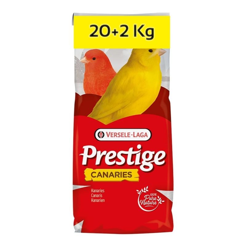 Versele Laga Prestıge Kanarya Yemi Şalgamsız 1 Kg (Bölünmüş)