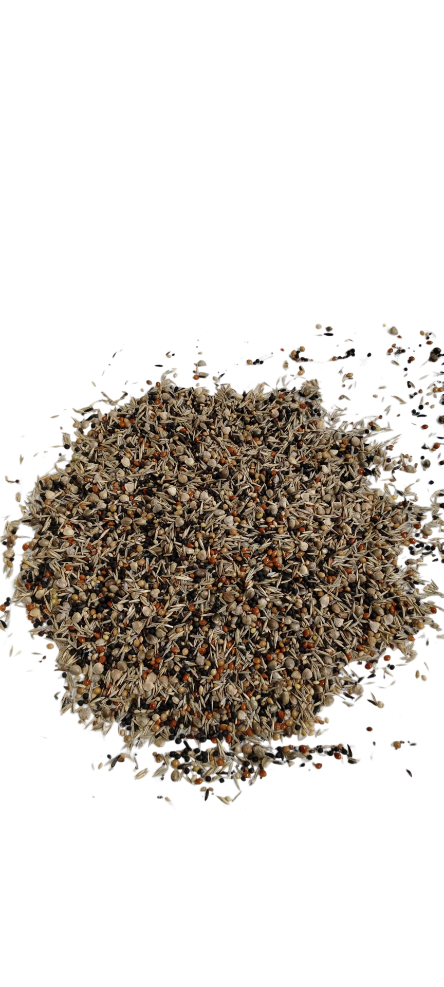 Kuş Sütü Kondisyon Tohumu (Sağlık Tohumu) 1 KG