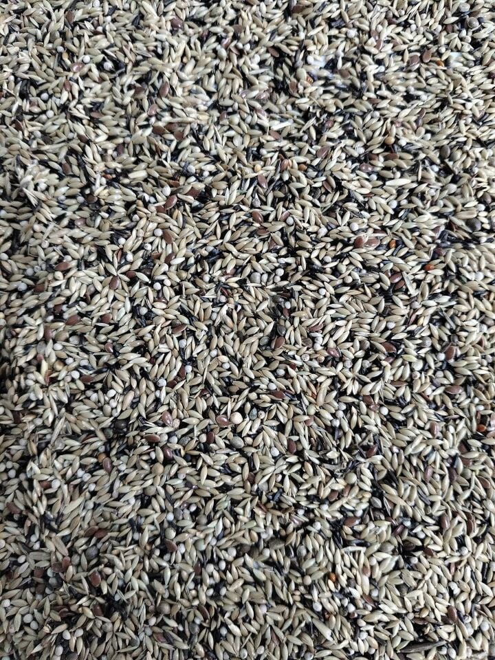 Kuş Sütü K2 Süper Karışık Kanarya 20 Kg