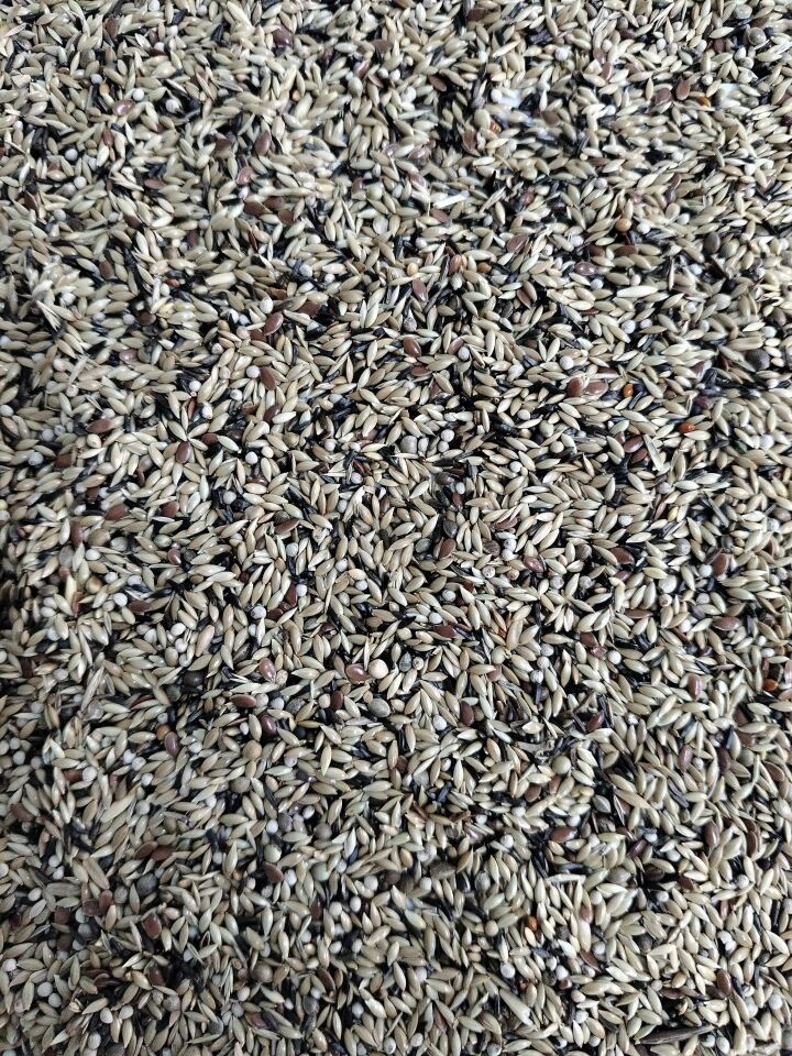 Kuş Sütü K2 Süper Karışık Kanarya 20 Kg