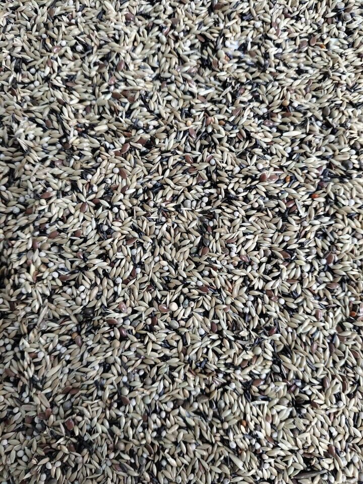 Kuş Sütü K2 Süper Karışık Kanarya 5 Kg