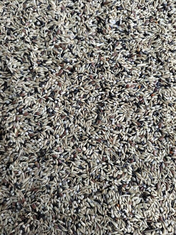 Kuş Sütü K2 Süper Karışık Kanarya 1 Kg