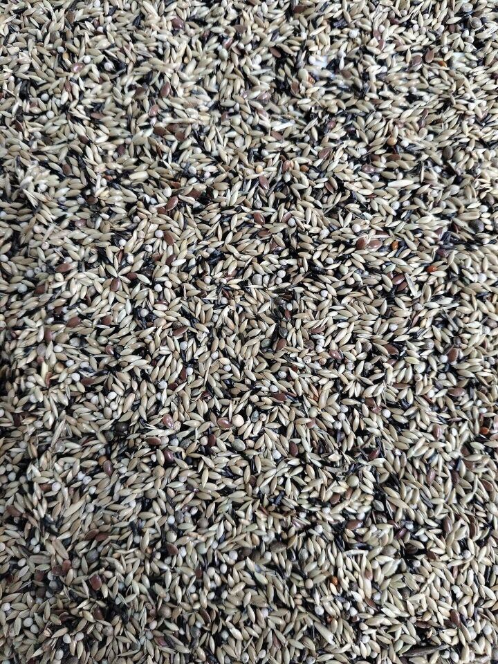 Kuş Sütü K2 Süper Karışık Kanarya 1 Kg