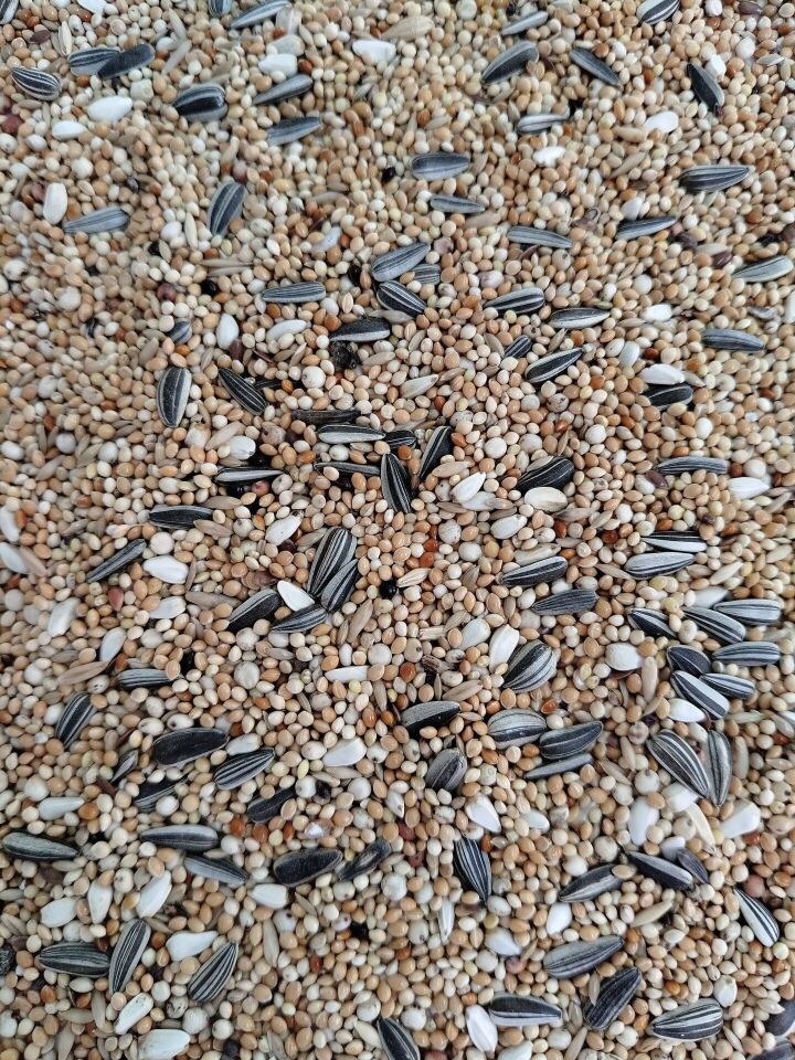 Kuş Sütü P1 Paraket Yemi 1 Kg