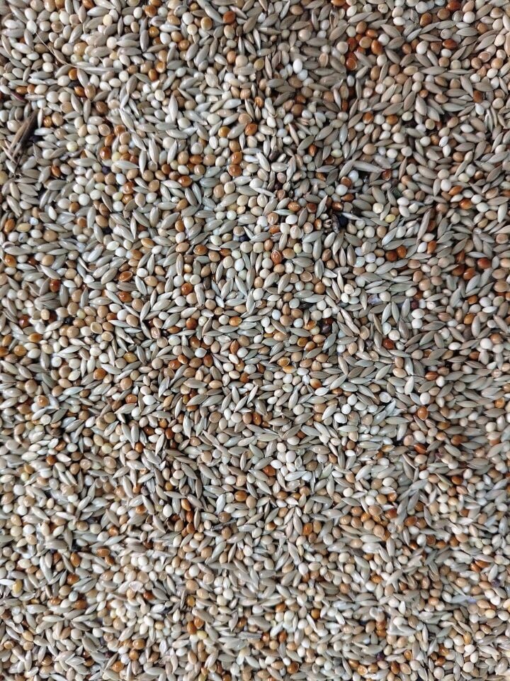 Kuş Sütü M2 Muhabbet Yemi % 40 Aspurlu 5 Kg
