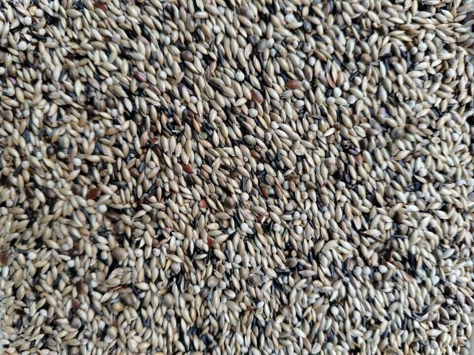 Kuş Sütü K4 Yulafsız Premium Karışık Kanarya Yemi 20 Kg