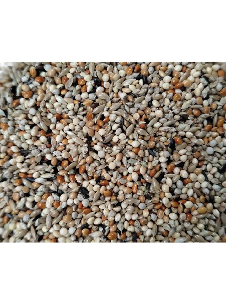 Kuş Sütü M4 Süper Premium Muhabbet Yemi 20 Kg
