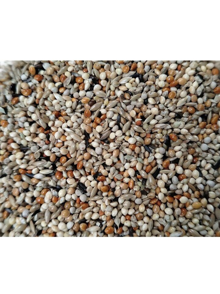 Kuş Sütü M4 Süper Premium Muhabbet Yemi 5 Kg