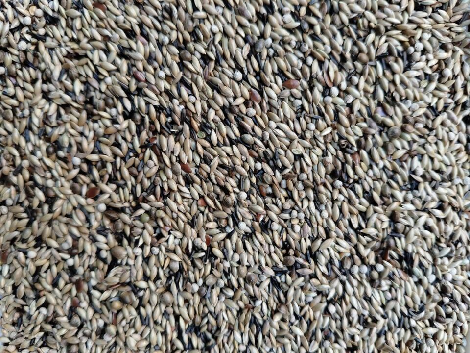 Kuş Sütü K4 Yulafsız Premium Karışık Kanarya Yemi 1 Kg