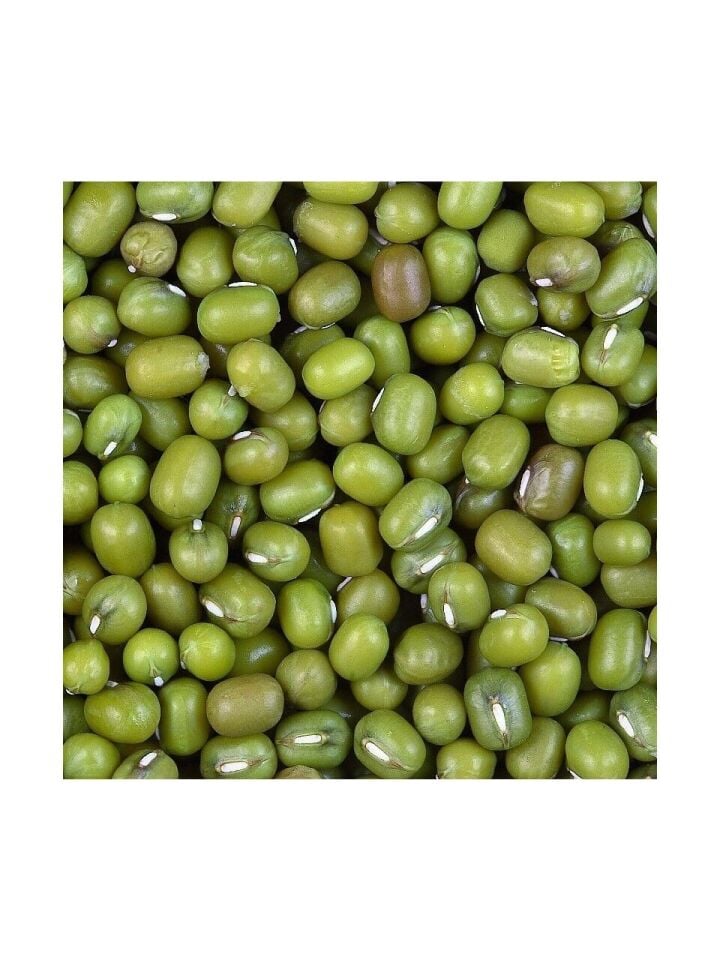 Kuş Sütü Maş Fasülyesi 25 Kg