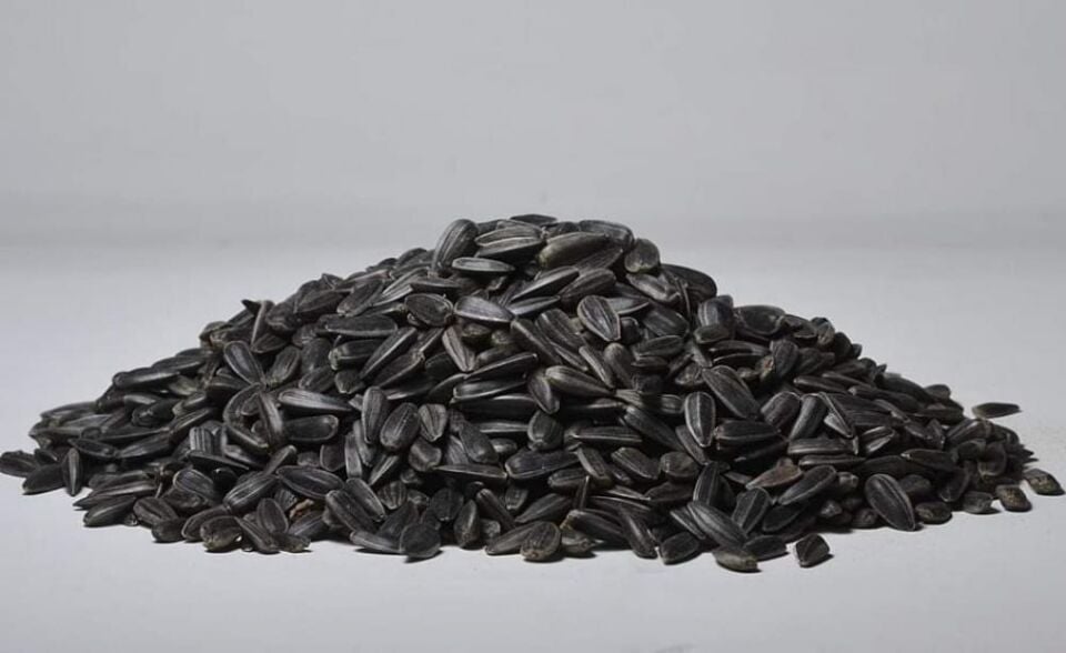 Kuş Sütü Siyah Çekirdek 1 Kg