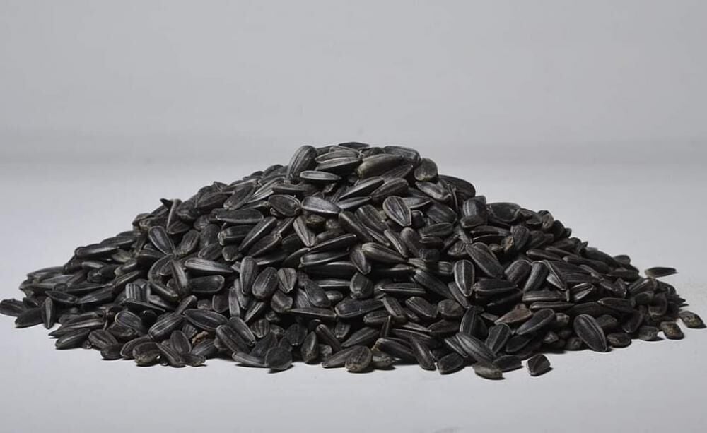 Kuş Sütü Siyah Çekirdek 5 Kg