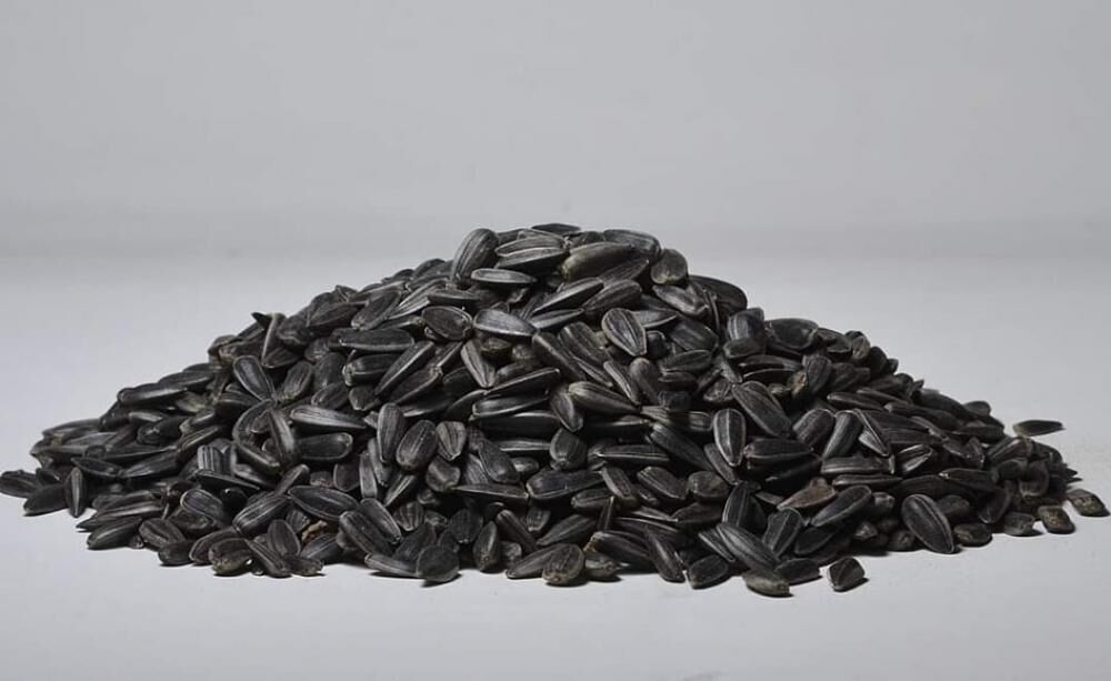 Kuş Sütü Siyah Çekirdek 20 Kg