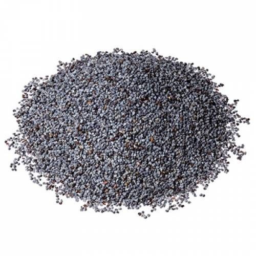 Kuş Sütü Mavi Haşhaş 5 Kg