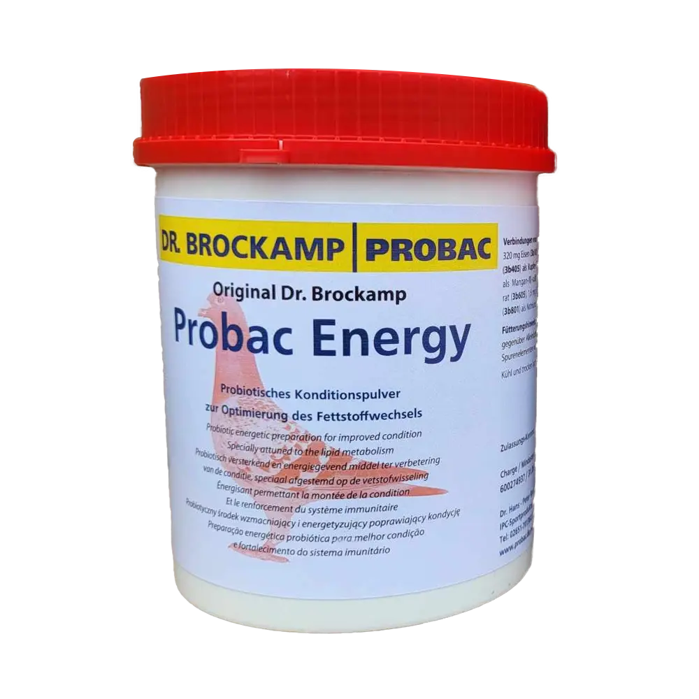 Dr. Brockamp | Probac Energy Probiyotik ve Enerji 500 Gr