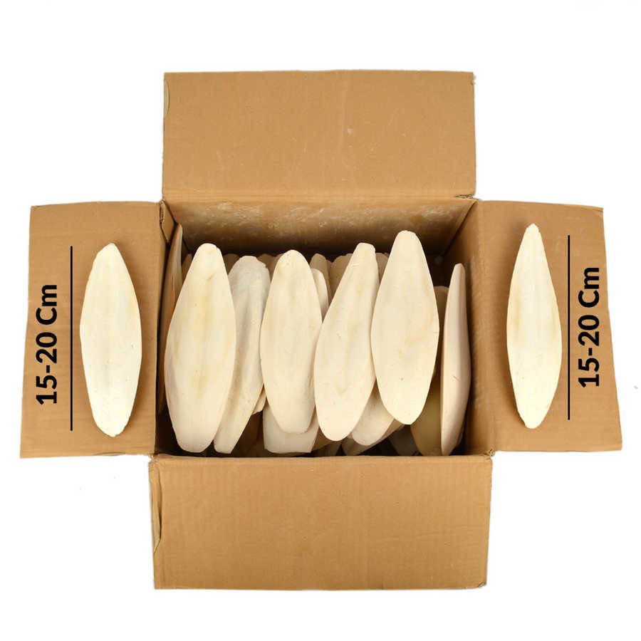 Kalamar Kemiği 1 Kg