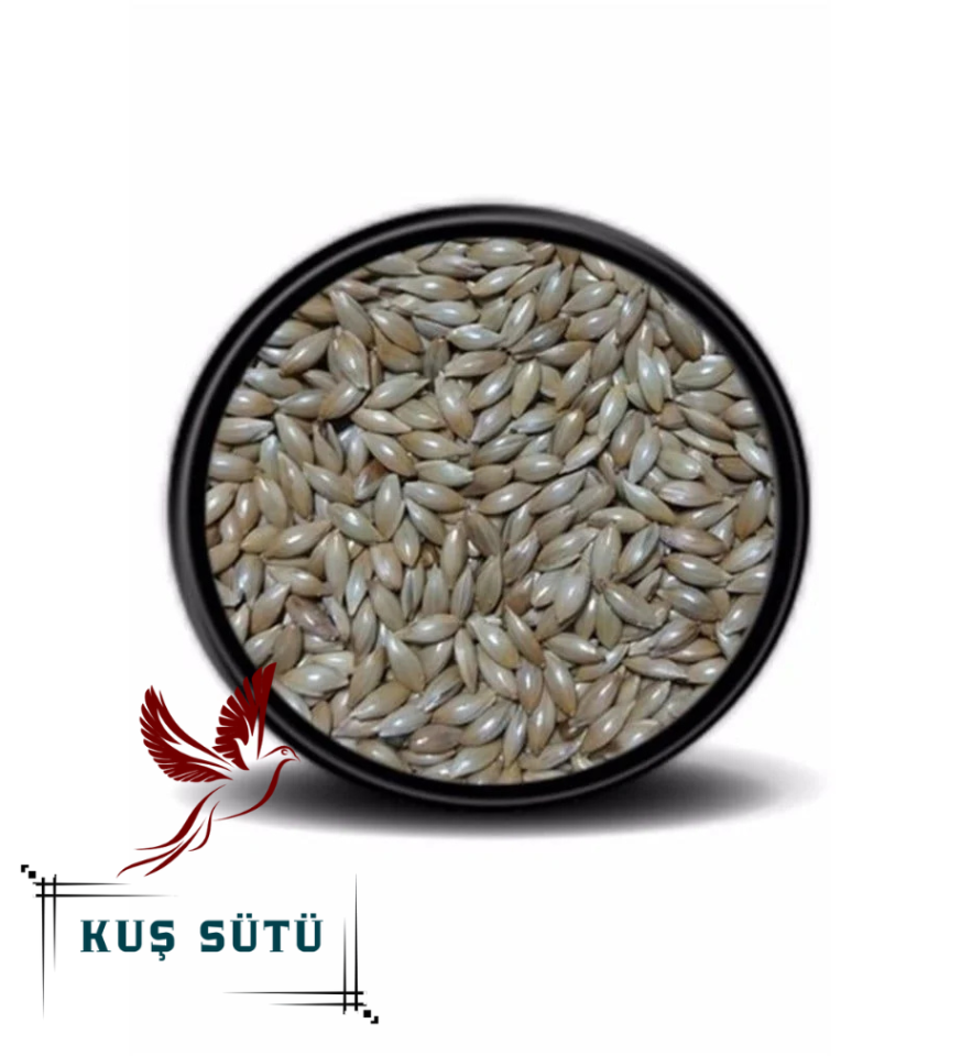 Kuş Sütü  Sade Kanarya Yemi (Aspur) 5 Kg