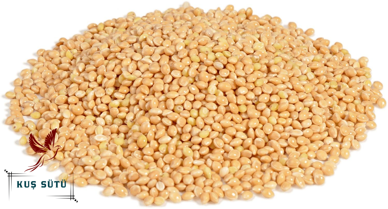 Kuş Sütü Ak Darı 25 Kg