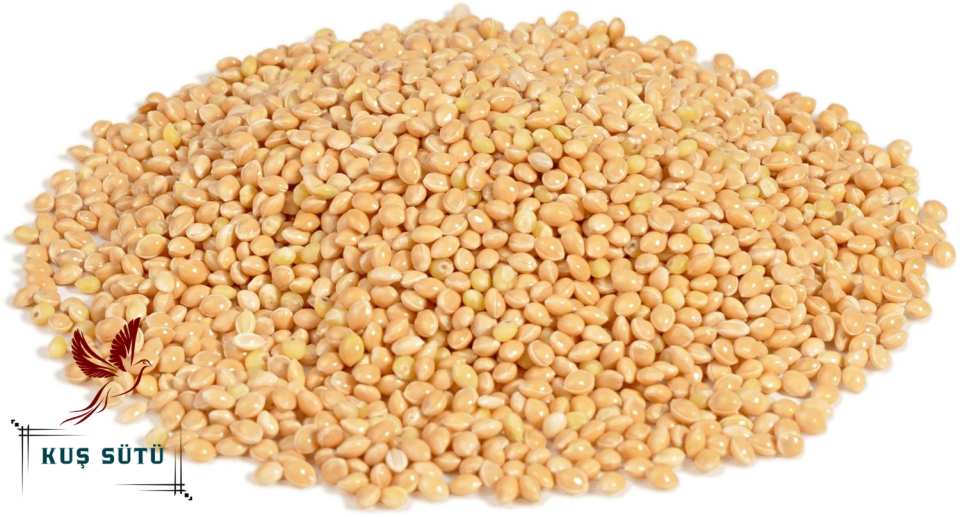Kuş Sütü Ak Darı 25 Kg